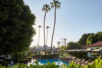 outdoor pool with palm trees at Avalon Hotel
