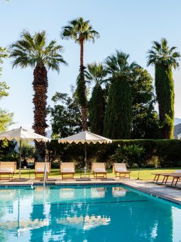 Avalon Palm Springs Pool Deck