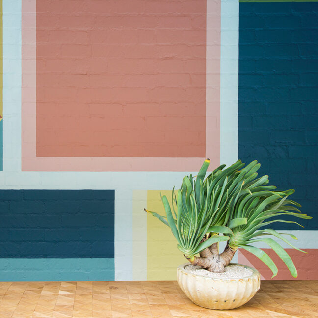 plant against artful wallpaper